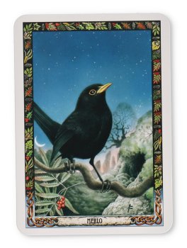L'Oracolo dei Druidi - 3