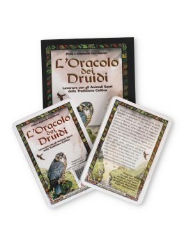 L'Oracolo dei Druidi - 1