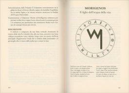 L'Oracolo dell'Aev — Libro - 3
