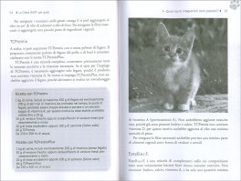 La Dieta Barf per Gatti — Libro - 3