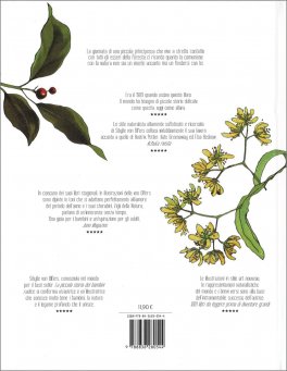 La Piccola Storia dei Bambini della Foresta — Libro - 2