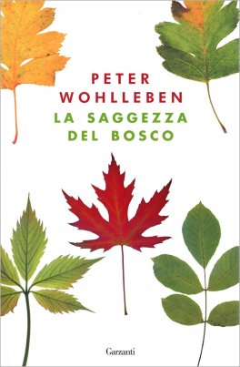 La Saggezza del Bosco — Libro - 1