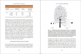 La Vita delle Api — Libro - 3