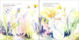 Libellula — Libro - 3
