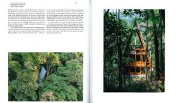 Linving in the Forest — Libro - 3