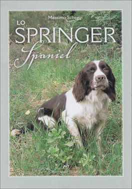 Lo Springer  — Libro - 1