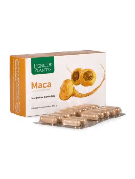 Maca - 60 Capsule - 1