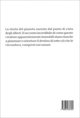 Maestri Silenziosi — Libro - 2