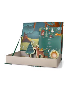 Magnetic Box Set e Book - Il Bosco - 4