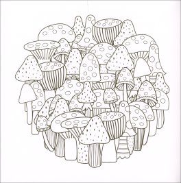 Mandala Super Carini — Libro - 3
