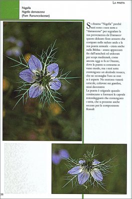 Maremma in Fiore — Libro - 3