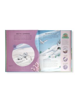 Nature's Tiny Champions — Libro - 2