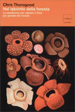 Nel Labirinto della Foresta — Libro - 1