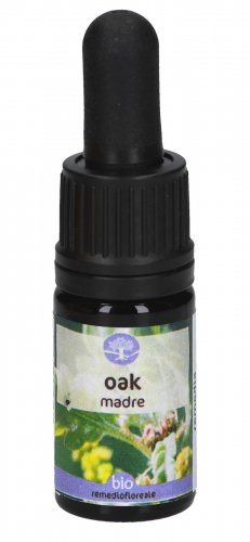 Oak - Soluzione Madre - 1