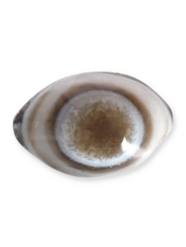 Occhio di Shiva - 3