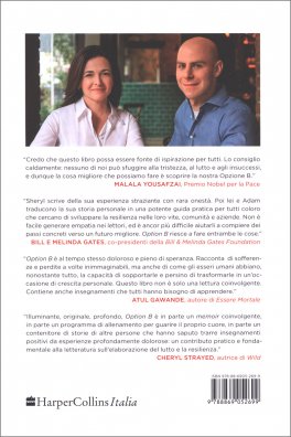 Option B — Libro - 2