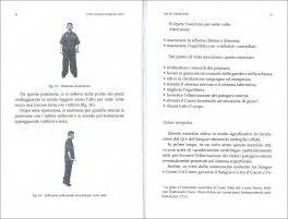 Otto Pezzi di Broccato — Libro - 3