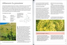 Piante che Curano — Libro - 3