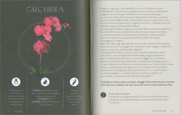 Piante Magiche — Libro - 3