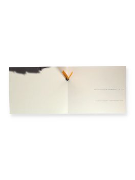 Piccolo Albero — Libro - 4