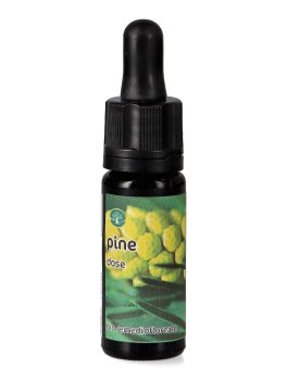 Pine - Dose - 1