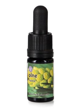 Pine - Soluzione Madre - 1
