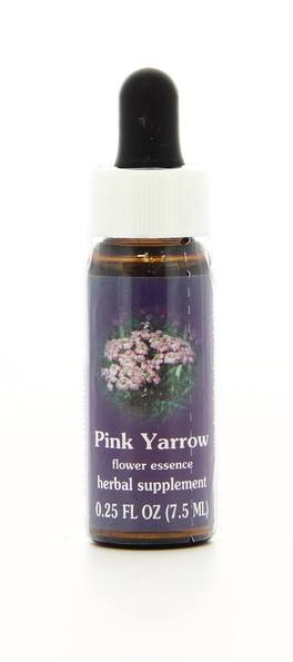 Pink Yarrow - Fiori californiani - 1