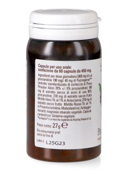 Pinomar Pycnogenol® - 3