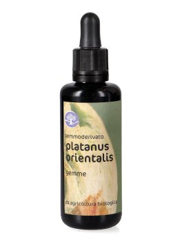 Platanus Orientalis - Gemmoderivato Floripotenziato - Gemme - 1
