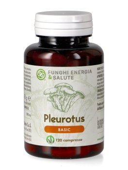 Pleurotus Basic - 1