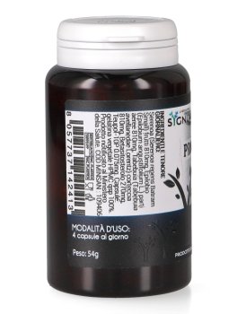 Prostata - Capsule - 3