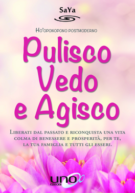 Pulisco, Vedo e Agisco — Libro - 1