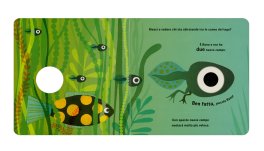Rana — Libro - 3