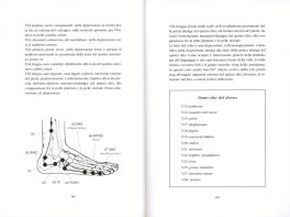 Reflessologia Zu Vol. 3 - Energetica — Libro - 3