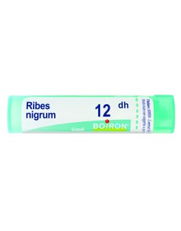 Ribes Nigrum 12DH Granuli Boiron - 1