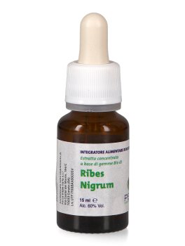 Ribes Nigrum PSC - Ribes Nero Gemme - 2