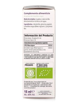 Ribes Nigrum PSC - Ribes Nero Gemme - 4