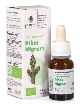 Ribes Nigrum PSC - Ribes Nero Gemme - 1