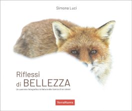 Riflessi di Bellezza — Libro - 1