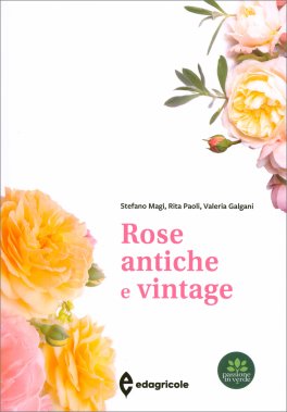 Rose Antiche e Vintage — Libro - 1