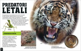 Scanorama Predatori Letali — Libro - 3