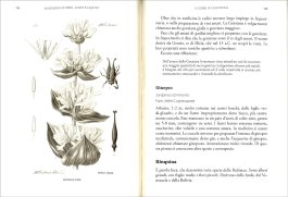 Schedario di Erbe, Amari e Liquori — Libro - 3