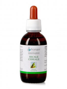 Secale Cereale - 1