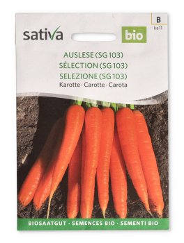 Semi di Carota - Auslese - 1