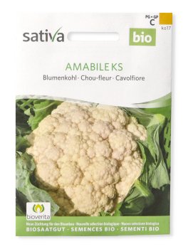 Semi di Cavolfiore Amabile KS - 1
