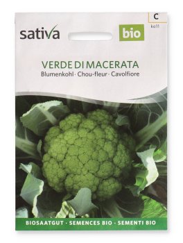 Semi di Cavolfiore Verde di Macerata - 1
