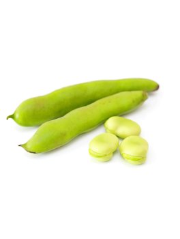 Semi di Fava Aguadulce Supersimonia Bio - 1