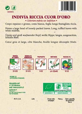 Semi di Indivia Riccia Cuor d'Oro - 5 gr - BU039 - 2