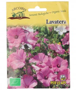 Semi di Lavatera Bio - 2