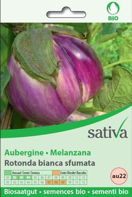 Semi di Melanzana Rotonda Bianca Sfumata - 1